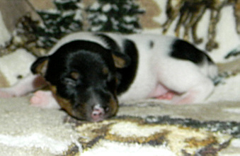 Enlarge photo 15