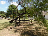 Enlarge photo 15