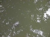 Enlarge photo 34