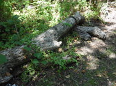 Enlarge photo 10