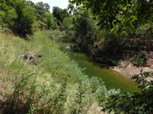 Enlarge photo 13