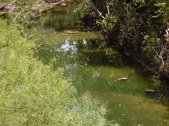 Enlarge photo 14