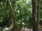 Enlarge photo 18