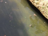 Enlarge photo 28