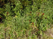 Enlarge photo 31