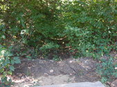Enlarge photo 32