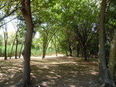 Enlarge photo 33
