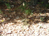 Enlarge photo 34