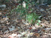 Enlarge photo 35