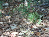 Enlarge photo 36