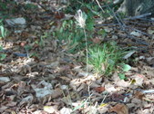 Enlarge photo 37