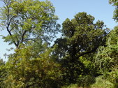 Enlarge photo 39