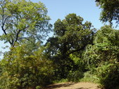 Enlarge photo 40