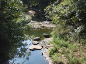 Enlarge photo 37