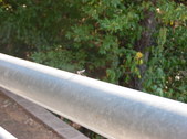 Enlarge photo 25