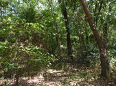 Enlarge photo 29