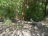 Enlarge photo 30