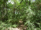 Enlarge photo 31