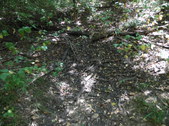 Enlarge photo 32