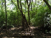 Enlarge photo 33