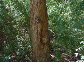 Enlarge photo 34