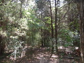 Enlarge photo 35