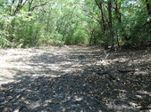 Enlarge photo 36
