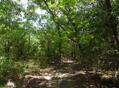 Enlarge photo 37