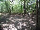 Enlarge photo 38