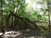 Enlarge photo 39