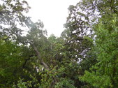Nature Hike 128