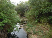 Enlarge photo 13