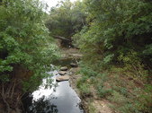 Enlarge photo 18