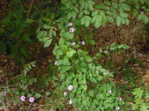 Enlarge photo 25
