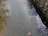 Enlarge photo 30