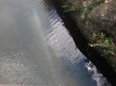 Enlarge photo 33
