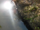 Enlarge photo 35