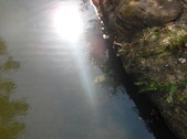 Enlarge photo 36