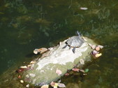 Enlarge photo 38