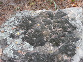 Nature Hike 130