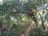 Enlarge photo 32