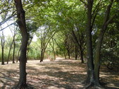 Enlarge photo 33