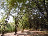 Enlarge photo 34