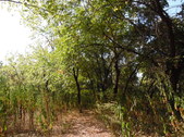 Enlarge photo 35