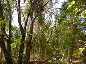 Enlarge photo 36