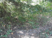 Enlarge photo 38