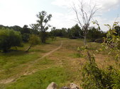 Enlarge photo 13