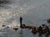 Enlarge photo 25