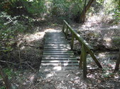 Enlarge photo 33