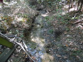 Enlarge photo 36